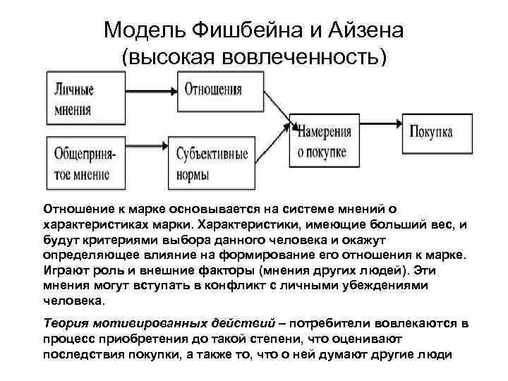 Система мнений