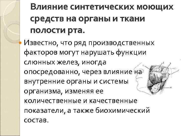 Влияние синтетических моющих средств на органы и ткани полости рта. Известно, что ряд производственных