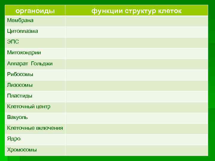 органоиды Мембрана Цитоплазма ЭПС Митохондрии Аппарат Гольджи Рибосомы Лизосомы Пластиды Клеточный центр Вакуоль Клеточные