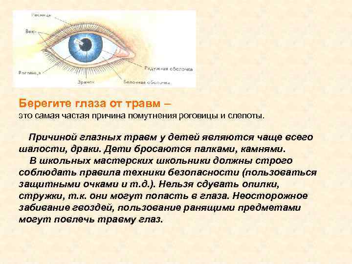 Берегите глаза от травм – это самая частая причина помутнения роговицы и слепоты. Причиной