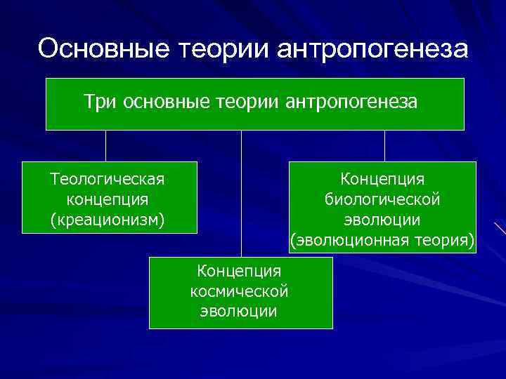 Основные теории антропогенеза Три основные теории антропогенеза Теологическая концепция (креационизм) Концепция биологической эволюции (эволюционная