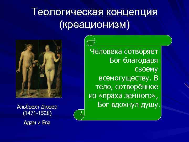 Теологическая концепция (креационизм) Альбрехт Дюрер (1471 -1528) Адам и Ева Человека сотворяет Бог благодаря