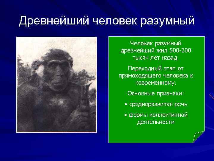 Древнейший человек разумный Человек разумный древнейший жил 500 -200 тысяч лет назад. Переходный этап