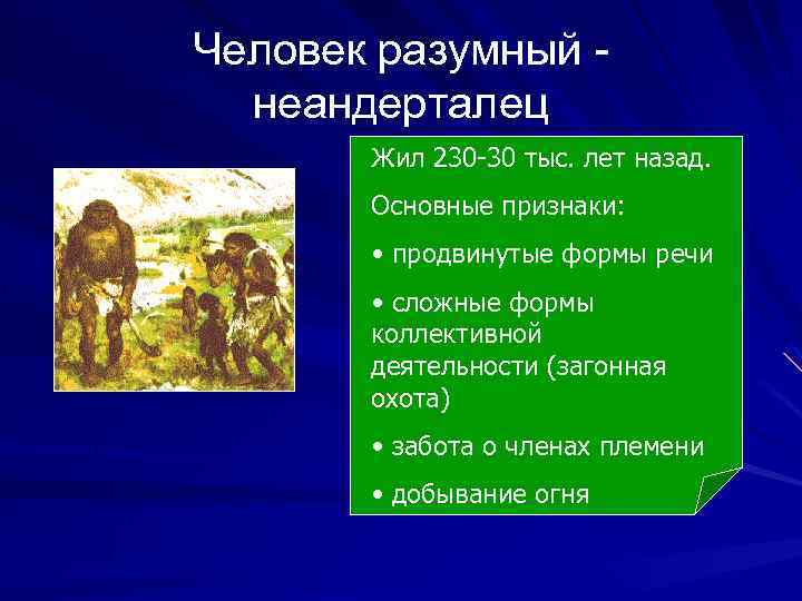 Человек разумный неандерталец Жил 230 -30 тыс. лет назад. Основные признаки: • продвинутые формы
