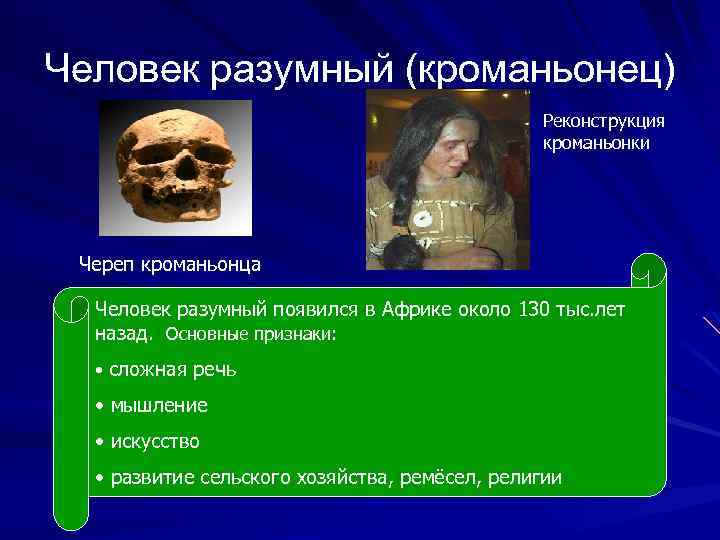 Человек разумный (кроманьонец) Реконструкция кроманьонки Череп кроманьонца Человек разумный появился в Африке около 130
