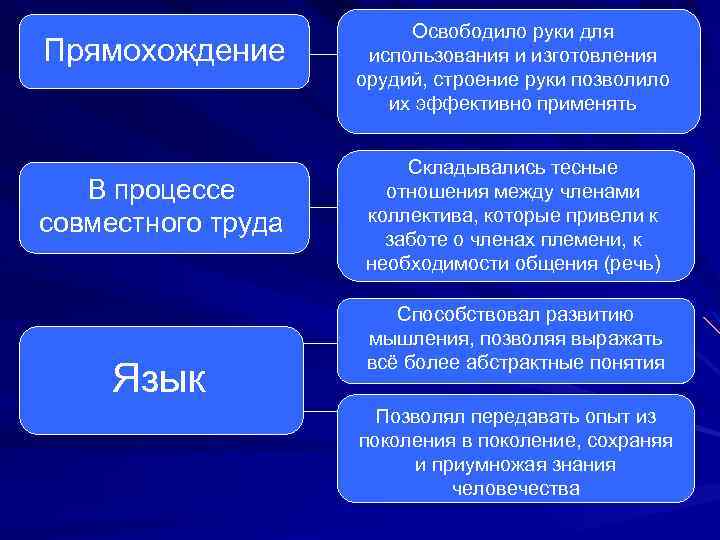 Прямохождение В процессе совместного труда Язык Освободило руки для использования и изготовления орудий, строение