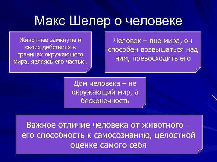Макс Шелер о человеке Животные замкнуты в своих действиях в границах окружающего мира, являясь