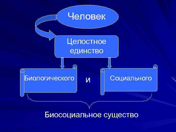 Человек Целостное единство Биологического и Социального Биосоциальное существо 