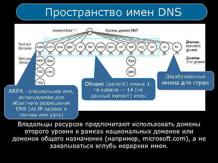 Пространство имен DNS Двухбуквенные Общие (generic) имена 1 ARPA - специальное имя, используемое для
