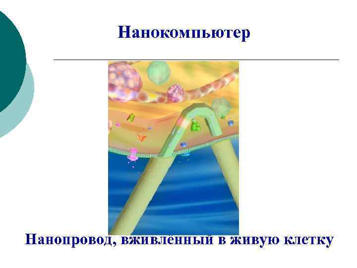 Нанокомпьютер Нанопровод, вживлённый в живую клетку 