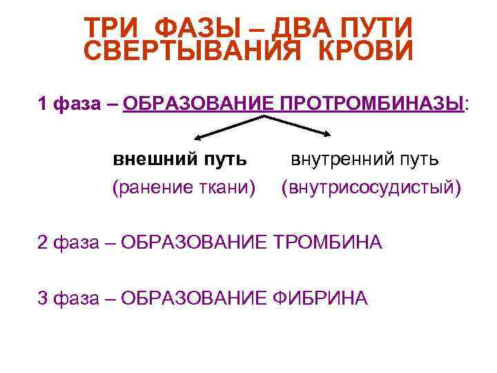 ТРИ ФАЗЫ – ДВА ПУТИ СВЕРТЫВАНИЯ КРОВИ n n n 1 фаза – ОБРАЗОВАНИЕ