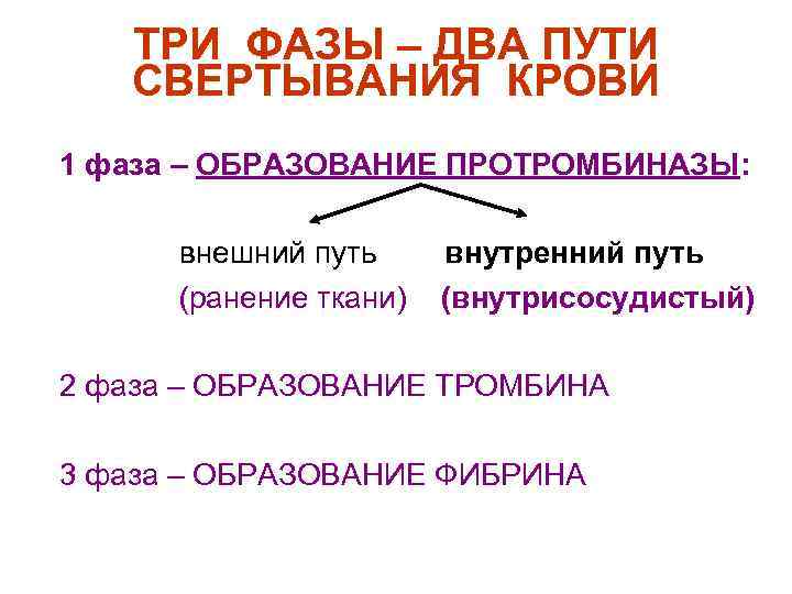 ТРИ ФАЗЫ – ДВА ПУТИ СВЕРТЫВАНИЯ КРОВИ n n n 1 фаза – ОБРАЗОВАНИЕ