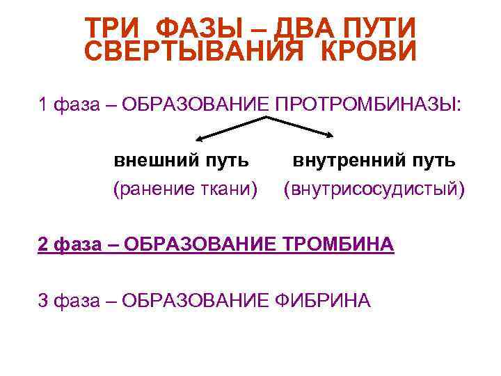 ТРИ ФАЗЫ – ДВА ПУТИ СВЕРТЫВАНИЯ КРОВИ n n n 1 фаза – ОБРАЗОВАНИЕ