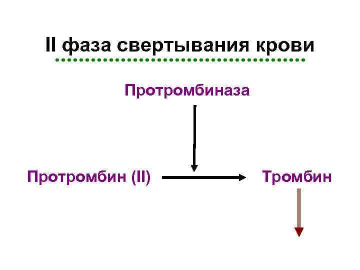 II фаза свертывания крови n n Протромбиназа Протромбин (II) Тромбин Перейти на первую страницу