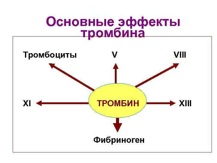 Основные эффекты тромбина n Тромбоциты n XI n V ТРОМБИН VIII XIII Фибриноген Перейти