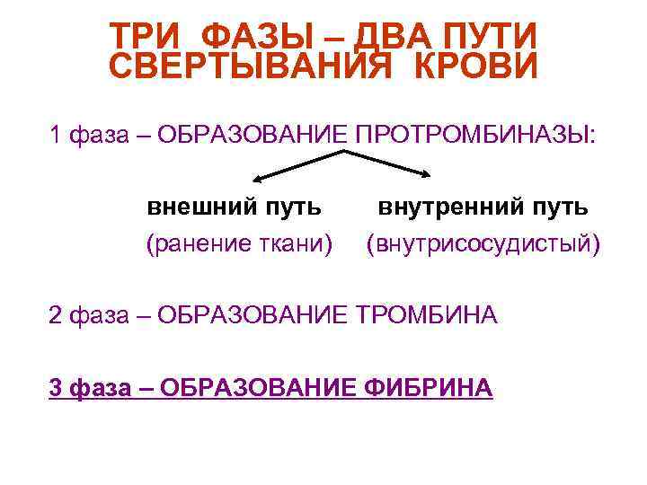 ТРИ ФАЗЫ – ДВА ПУТИ СВЕРТЫВАНИЯ КРОВИ n n n 1 фаза – ОБРАЗОВАНИЕ