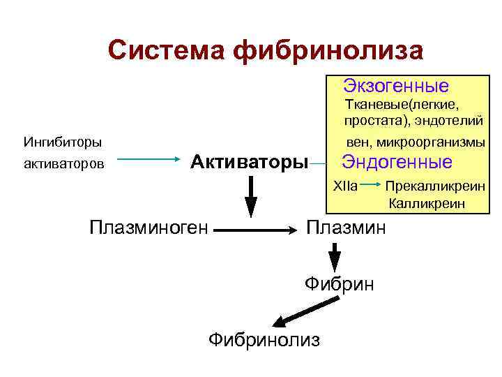 Система фибринолиза Экзогенные n Тканевые(легкие, простата), эндотелий n n n Ингибиторы n активаторов вен,