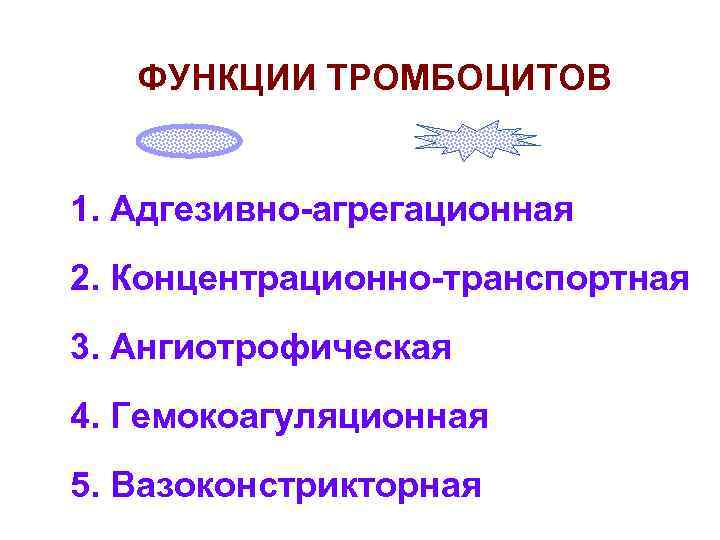 ФУНКЦИИ ТРОМБОЦИТОВ n 1. Адгезивно-агрегационная n 2. Концентрационно-транспортная n 3. Ангиотрофическая n 4. Гемокоагуляционная