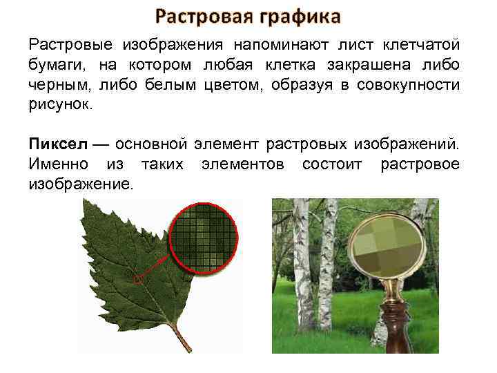 Растровая графика Растровые изображения напоминают лист клетчатой бумаги, на котором любая клетка закрашена либо