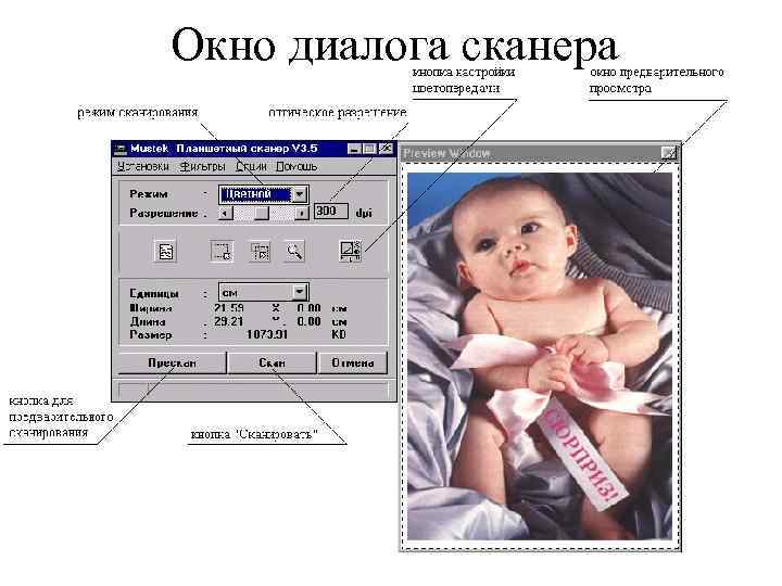 Окно диалога сканера 