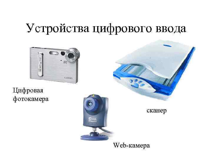 Устройства цифрового ввода Цифровая фотокамера сканер Web-камера 