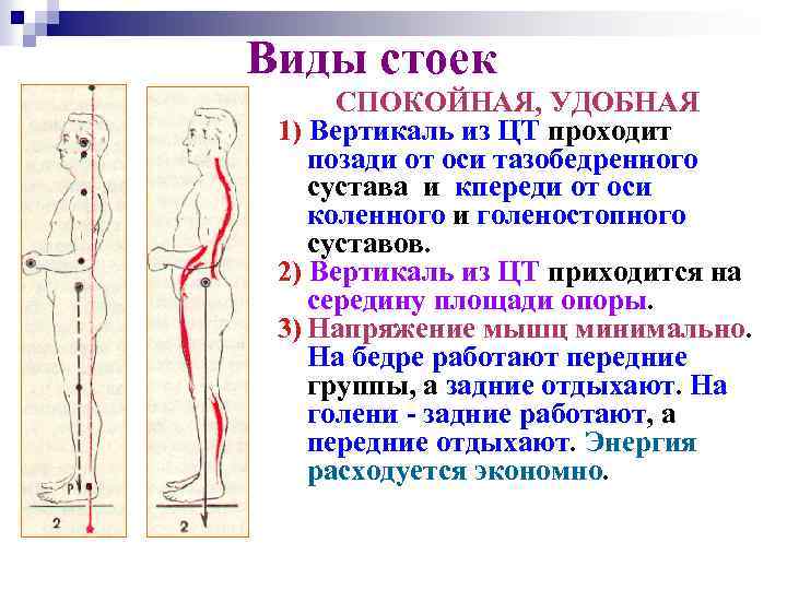 Биомеханика презентация казакша