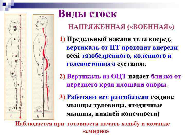 Биомеханика презентация казакша