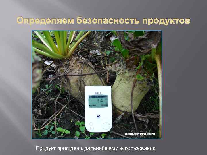 Определяем безопасность продуктов Продукт пригоден к дальнейшему использованию 