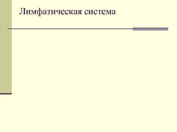 Лимфатическая система 