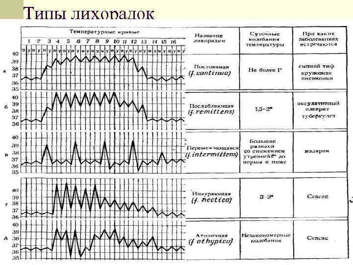 Типы лихорадок 
