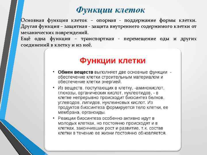 Функции клеток Основная функция клеток – опорная - поддержание формы клетки. Другая функция –