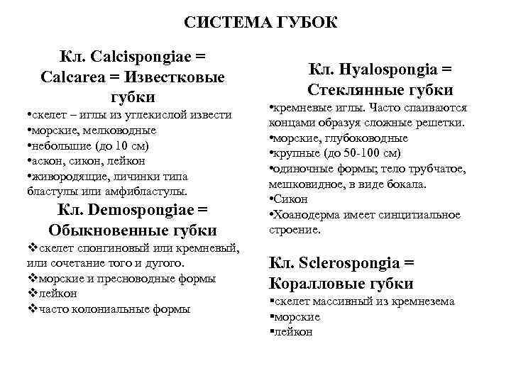 СИСТЕМА ГУБОК Кл. Calcispongiae = Calcarea = Известковые губки • скелет – иглы из