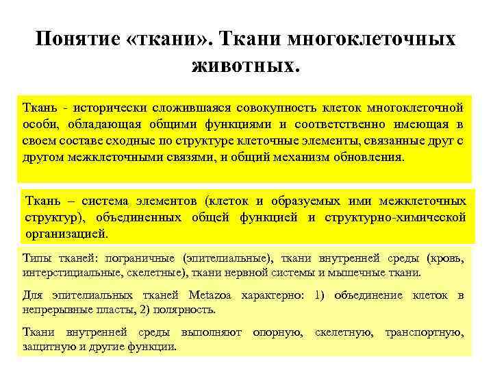 Понятие «ткани» . Ткани многоклеточных животных. Ткань - исторически сложившаяся совокупность клеток многоклеточной особи,