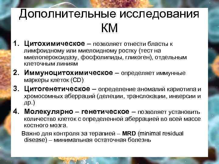 Дополнительные исследования КМ 1. Цитохимическое – позволяет отнести бласты к лимфоидному или миелоидному ростку