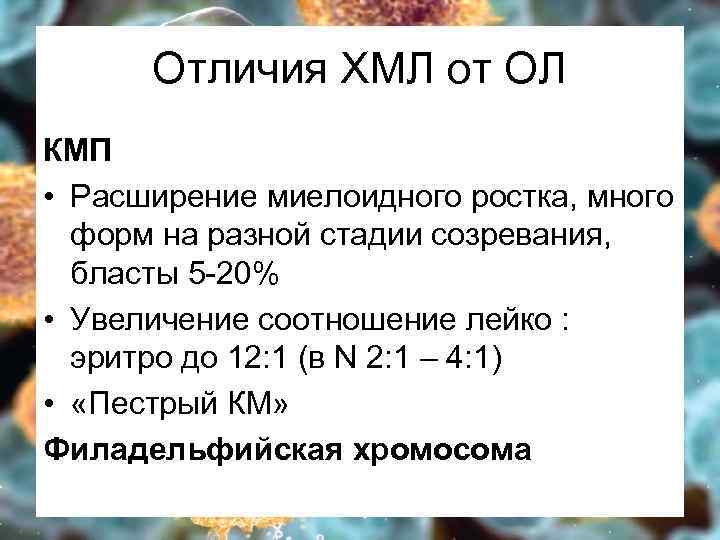 Отличия ХМЛ от ОЛ КМП • Расширение миелоидного ростка, много форм на разной стадии