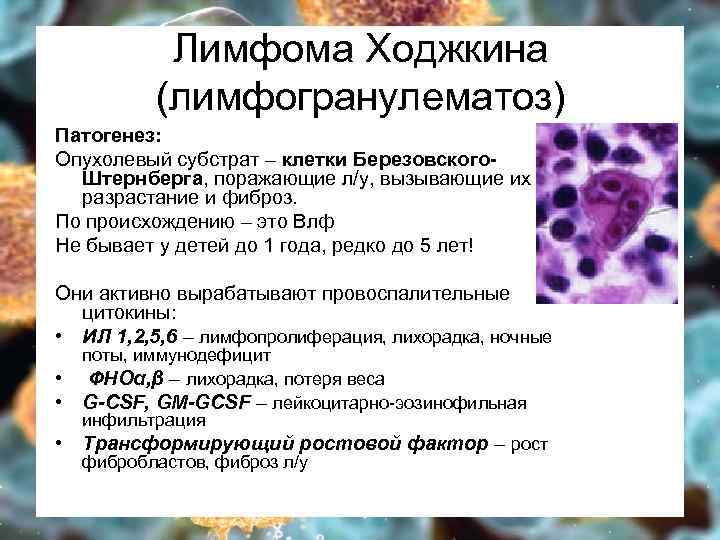 Лимфома Ходжкина (лимфогранулематоз) Патогенез: Опухолевый субстрат – клетки Березовского. Штернберга, поражающие л/у, вызывающие их