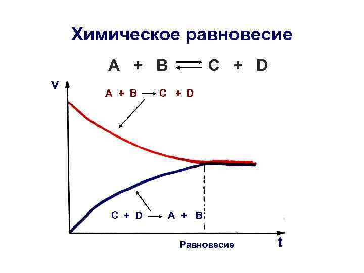 Химическое равновесие А + В v A + B С + D C +
