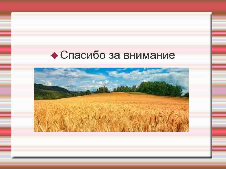  Спасибо за внимание 