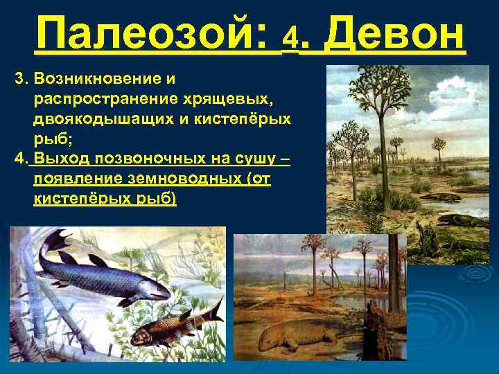Палеозой: 4. Девон 3. Возникновение и распространение хрящевых, двоякодышащих и кистепёрых рыб; 4. Выход