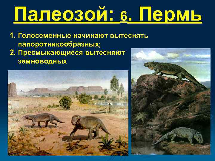 Палеозой: 6. Пермь 1. Голосеменные начинают вытеснять папоротникообразных; 2. Пресмыкающиеся вытесняют земноводных 
