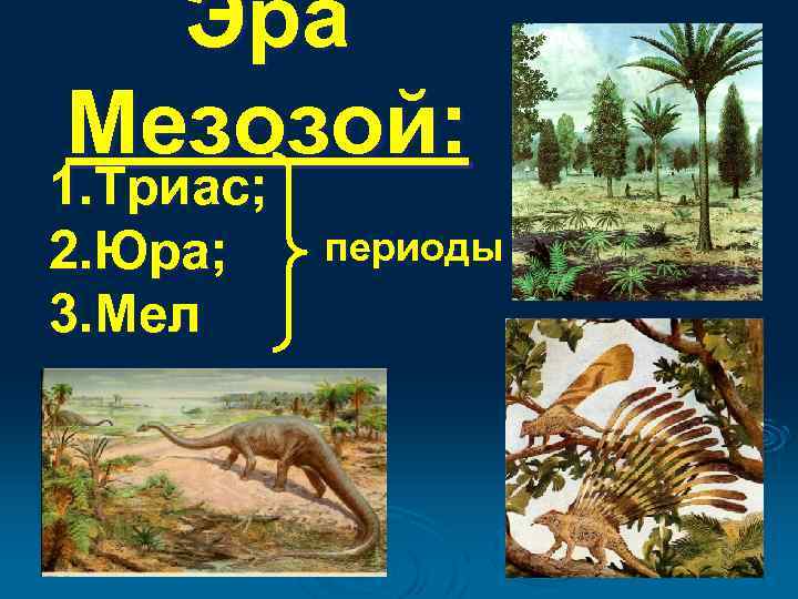 Эра Мезозой: 1. Триас; 2. Юра; 3. Мел периоды 