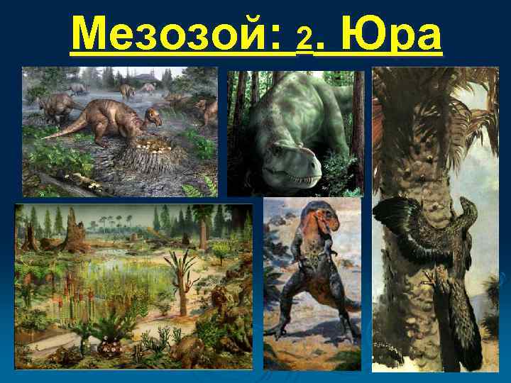 Мезозой: 2. Юра 