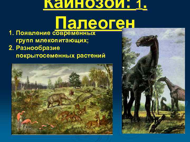 Второй период кайнозоя 6 букв. Кайнозойская Эра палеоген. Кайнозой Эра Эра презентация палеоген. Кайнозой палеоген растения. Кайнозойская Эра палеогеновый период.