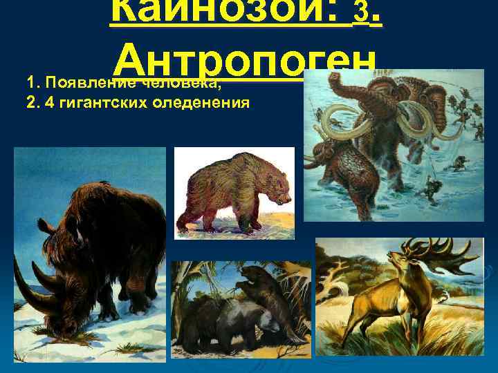 Антропоген эра. Эра Кайнозой антропоген. Четвертичный период антропоген рептилии. Антропоген ароморфозы. Кайнозойская Эра человек.