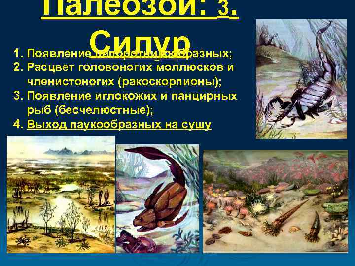 Палеозой: 3. Силур 1. Появление папоротникообразных; 2. Расцвет головоногих моллюсков и членистоногих (ракоскорпионы); 3.