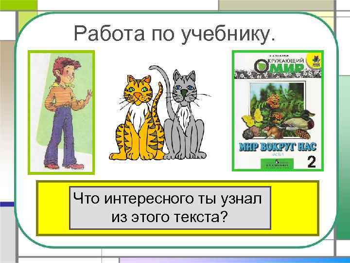 Работа по учебнику. Прочитай текст «Кошки» Что интересного ты узнал в из этого текста?