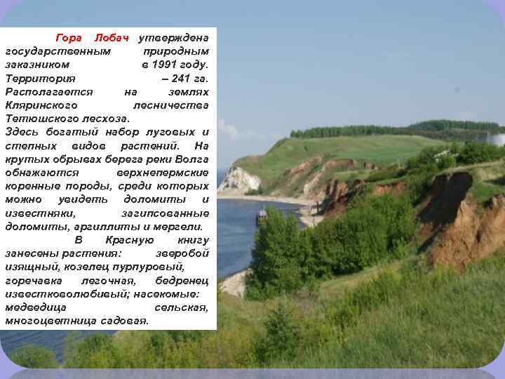  Гора Лобач утверждена государственным природным заказником в 1991 году. Территория – 241 га.