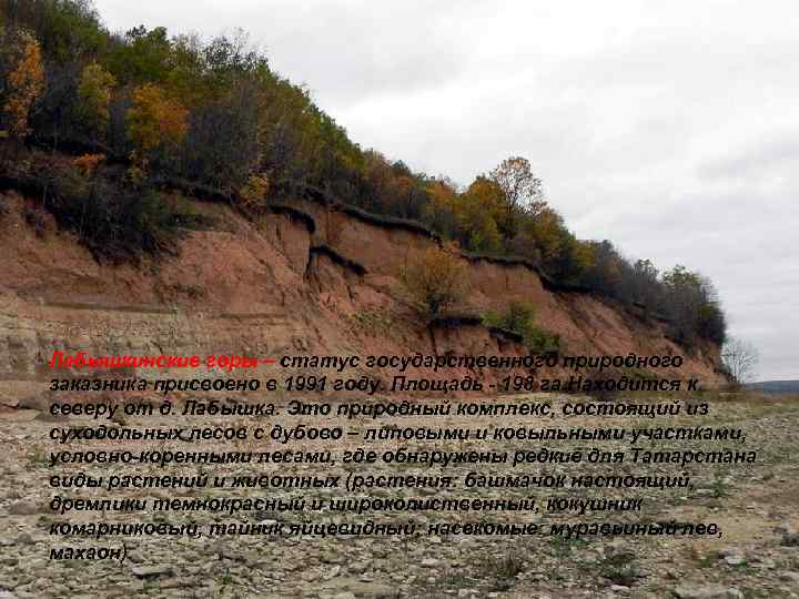 Лабышкинские горы – статус государственного природного заказника присвоено в 1991 году. Площадь 198 га.