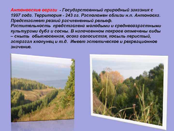 Антоновские овраги Государственный природный заказник с 1997 года. Территория 243 га. Расположен вблизи н.