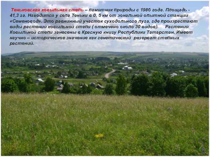 Теньковская ковыльная степь – памятник природы с 1986 года. Площадь 41, 3 га.